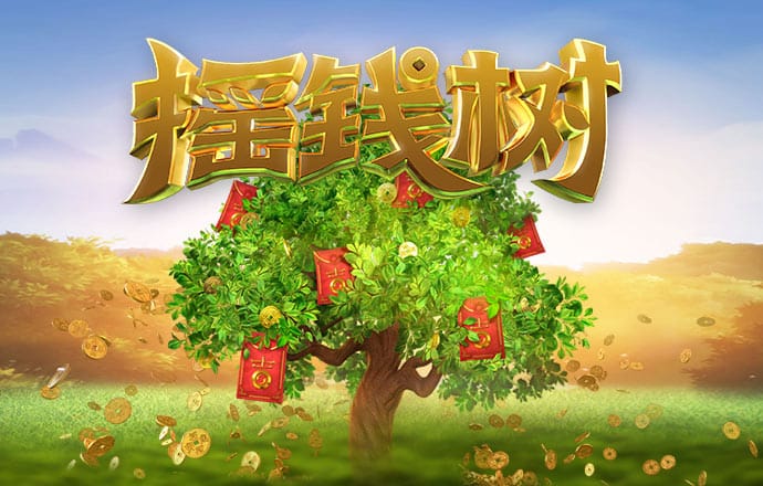 开云·全站