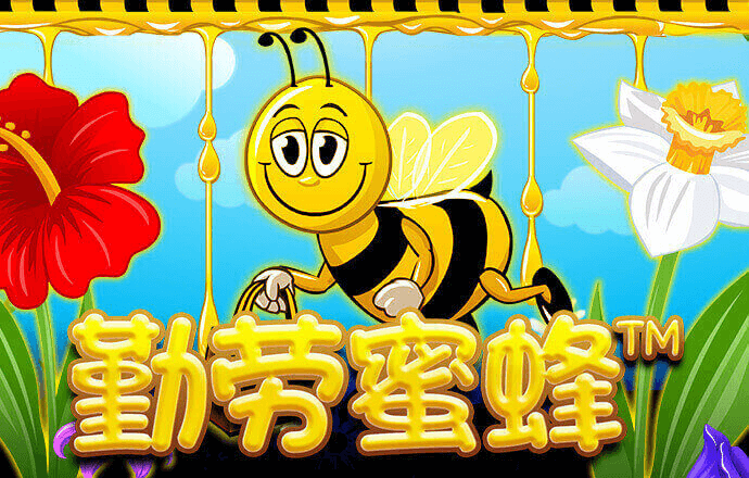 626969澳门资料大全版